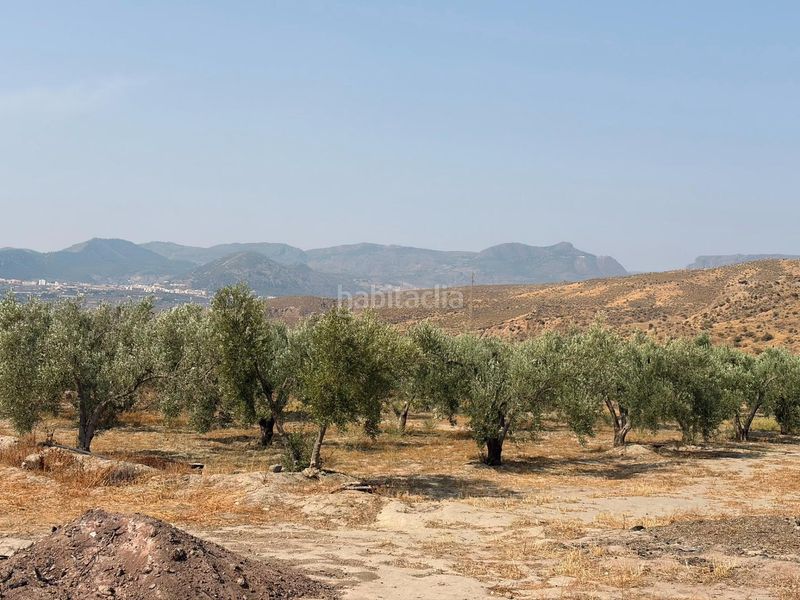 Foto a9d43c2e-8008-4462-8106-737fc43e2f03. Finca rústica a Santa Fe de Mondújar