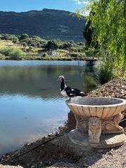 Rural plot in Cr-7125 1