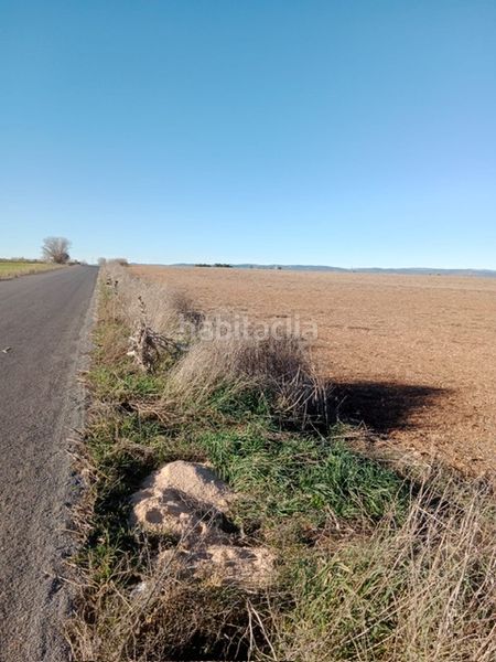 Foto 0ed3fa13-bbfd-4bec-868b-16cbdb66d850. Finca rústica a Santa María - Pío XII Ciudad Real