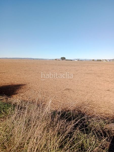 Foto 952fcf9a-0894-4f99-a6c3-a4d84a172a59. Finca rústica a Santa María - Pío XII Ciudad Real