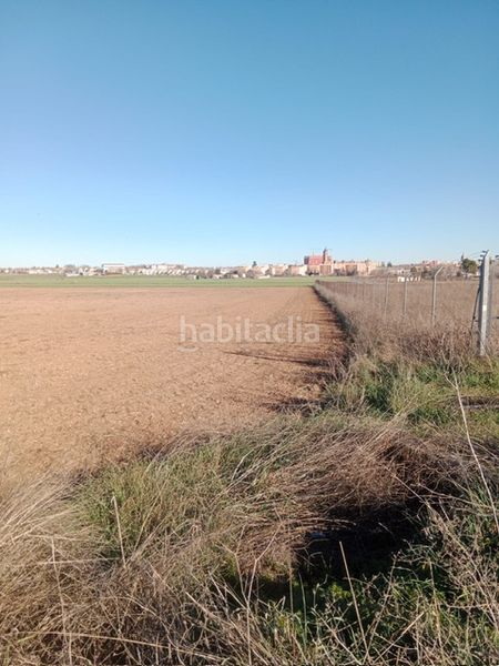 Foto ac837729-2cb7-4079-967a-1f63779d20fe. Finca rústica a Santa María - Pío XII Ciudad Real