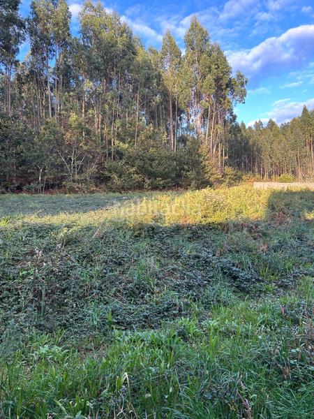 Foto 01034ac0-b703-4362-95a6-484961cd5215. Chalet in Boqueixón