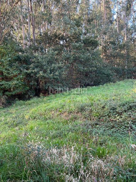 Foto 8fb8b9d3-d41d-40e8-adff-e3c35b81a5b9. Chalet in Boqueixón