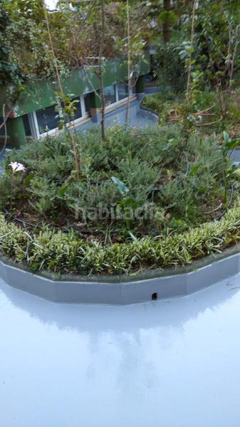 Foto 63a8b3eb-afa6-4241-9cf7-c2eb8b607cf4. Pis a Conxo Santiago de Compostela