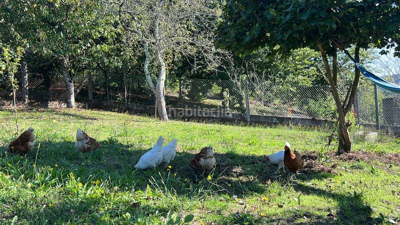 Foto adaea0f0-edd2-45bb-a765-f68748beef78. Affitto piccolo appartamento in Estrada (A)