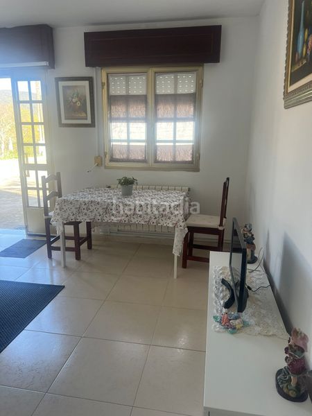 Foto d75b5c43-e7d4-4826-b5c8-1c6ba2c5f9c4. Affitto piccolo appartamento in Estrada (A)