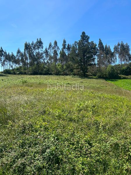 Foto b6923f72-4881-4a81-ae61-582b8abbd3cd. Casa a Trazo