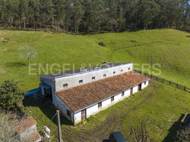 Foto 00acddcd-d3f0-4e17-92f5-3c01293b38e5. Terreno residencial excelente finca en vegaselorio en Villaviciosa