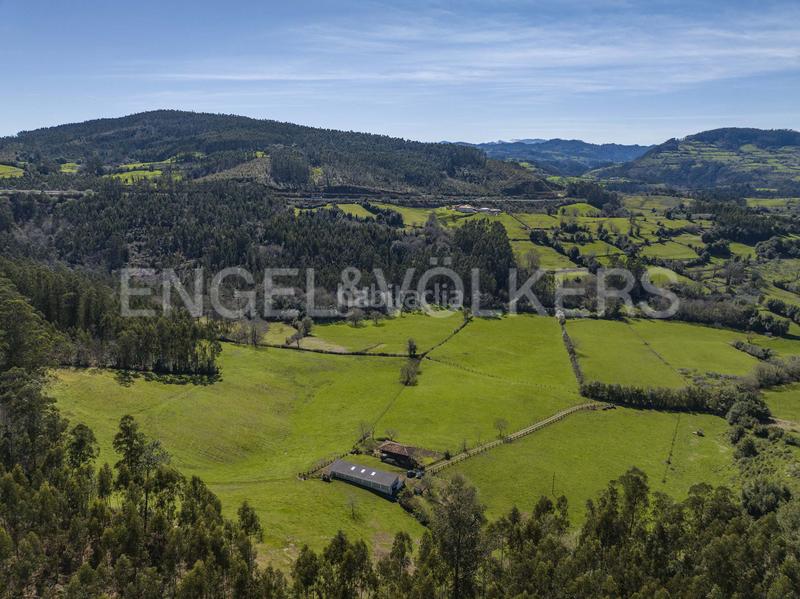 Foto 02d23401-437b-47a6-ac1f-408d07566460. Terreno residencial excelente finca en vegaselorio en Villaviciosa