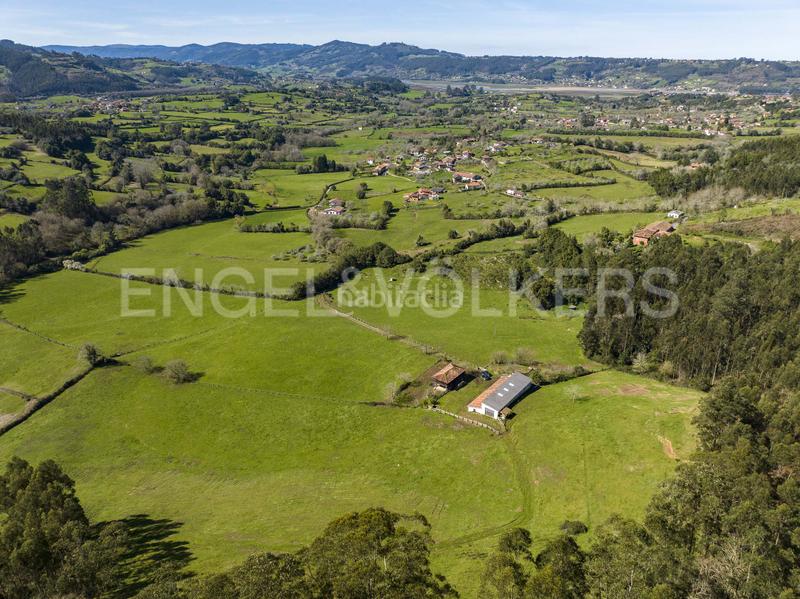 Foto 61e88a81-1edd-4ca3-bb4b-4ef4fd7443f2. Terreno residencial excelente finca en vegaselorio en Villaviciosa