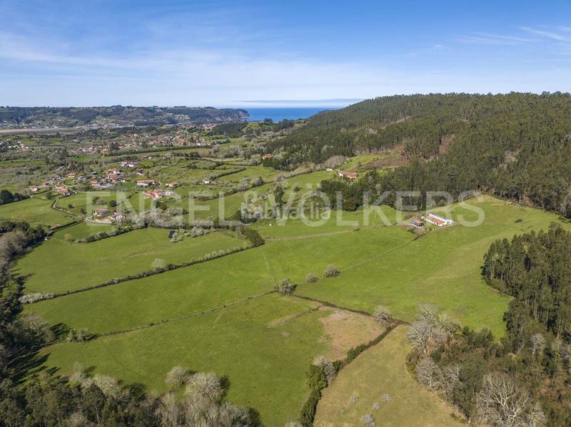 Foto ab376f59-68b4-4e97-910c-b5d639733569. Terreno residencial excelente finca en vegaselorio en Villaviciosa