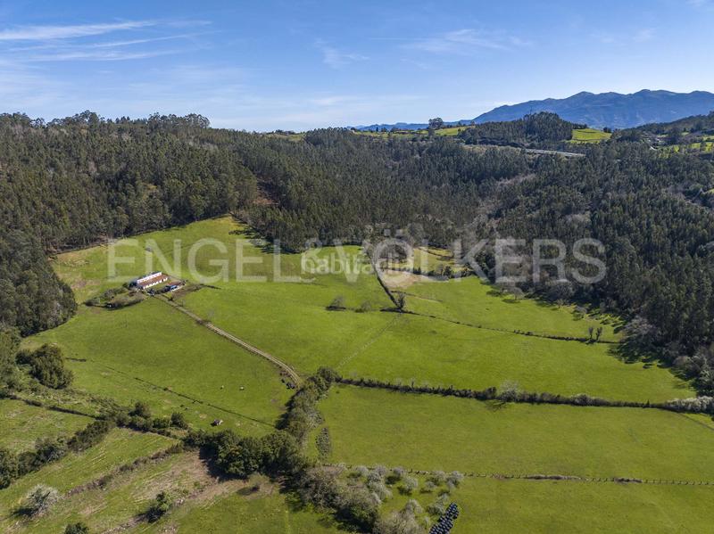 Foto ae19dffc-59ad-45e0-85e0-a6dde5e89052. Terreno residencial excelente finca en vegaselorio en Villaviciosa