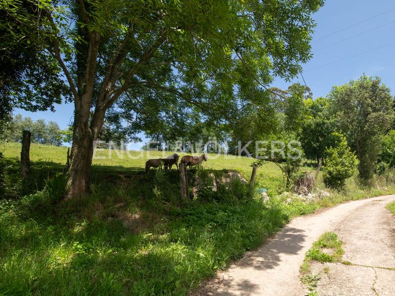 Foto 46fc7d9e-e13c-4f2e-8ef1-0033f0ae2f4c. Wohngrundstück in Pría-Nueva-Hontoria-Naves Llanes