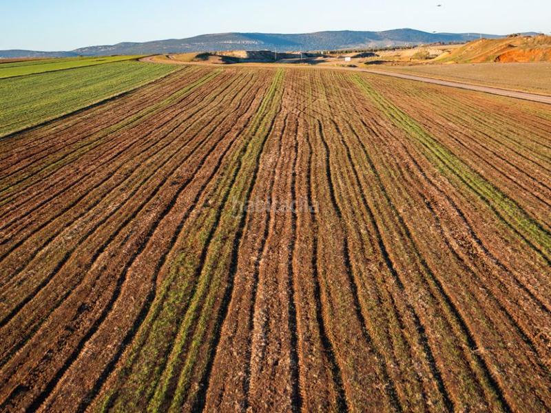 Foto 051e25d9-d8f0-4586-9303-eab06ccdffad. Fondo rustico in Villacañas