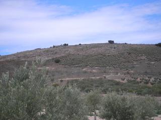 Finca rústica a Villacañas. Venta de fincas en villacañas
