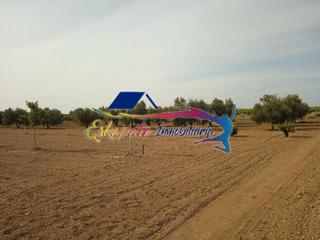 Finca rústica a Calle barcelona 4. Olivar en villacañas, carretera de villa de don fadrique