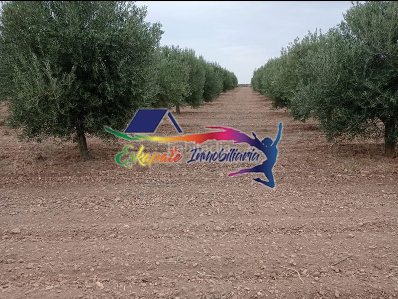 Foto 3dfb3207-8453-47b6-b2ef-816851a097c0. Finca rústica a Villacañas