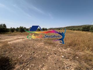 Finca rústica  Avenida madridejos. Venta de olivar y terreno de secano en villacañas (toledo)