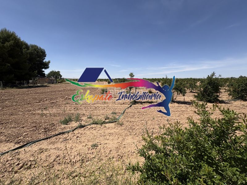 Foto b5ab8d24-aaad-4a04-941f-95a354974f1d. Finca rústica a Villacañas