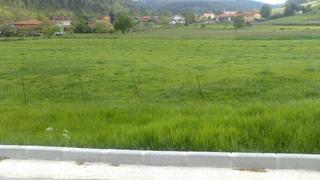 Terreny residencial a Pillarno