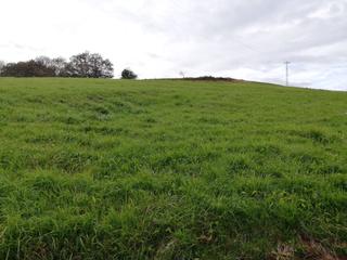 Terreny residencial  Carretera a molleda. Molleda. corvera de asturias.
venta de finca edificable de 1674