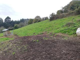 Finca rústica  Carretera a molleda. Molleda. corvera de asturias.
venta de finca rústica de 10.400
