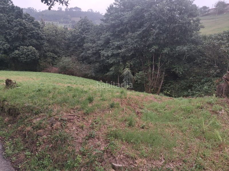 Foto 7d5fa2c3-8b37-4e5e-a915-ee33adfdd344. Terreno residencial venta de finca edificable en taborneda. . en Illas