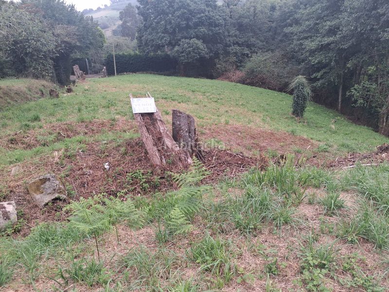 Foto d567a3d6-4680-4802-bb47-a6c21175cfb4. Terreno residencial venta de finca edificable en taborneda. . en Illas