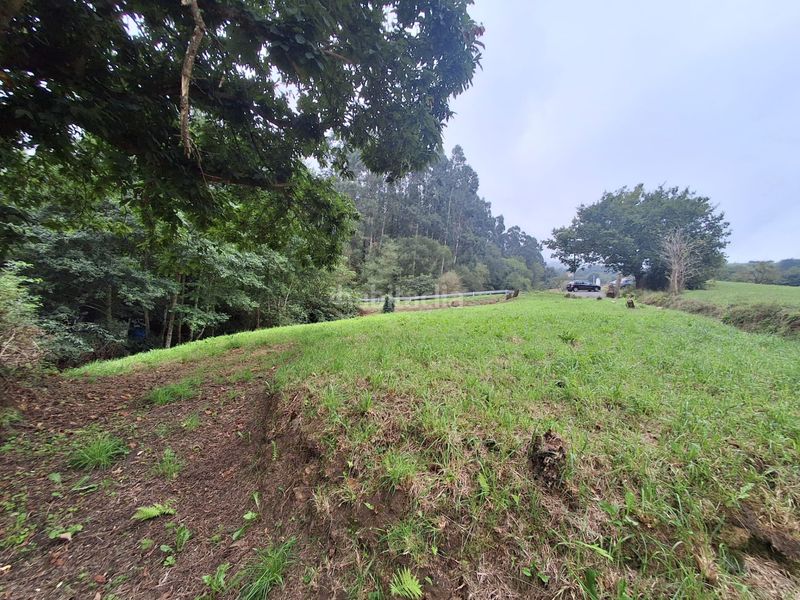 Foto e50589d2-5909-4859-99af-b7b34a81030f. Terreno residencial venta de finca edificable en taborneda. . en Illas