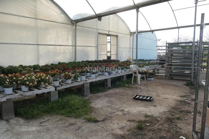 Foto 1251f37b-0f14-4eae-a30c-082138cbacea. Propriété dans Canet de Mar