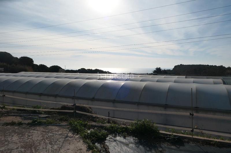 Foto 3c159e7c-69a2-4987-baf6-cc467130d557. Propriété dans Canet de Mar