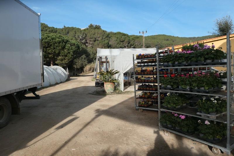 Foto 45455f52-7da7-4525-99ef-e1f966b9ef11. Propriété dans Canet de Mar