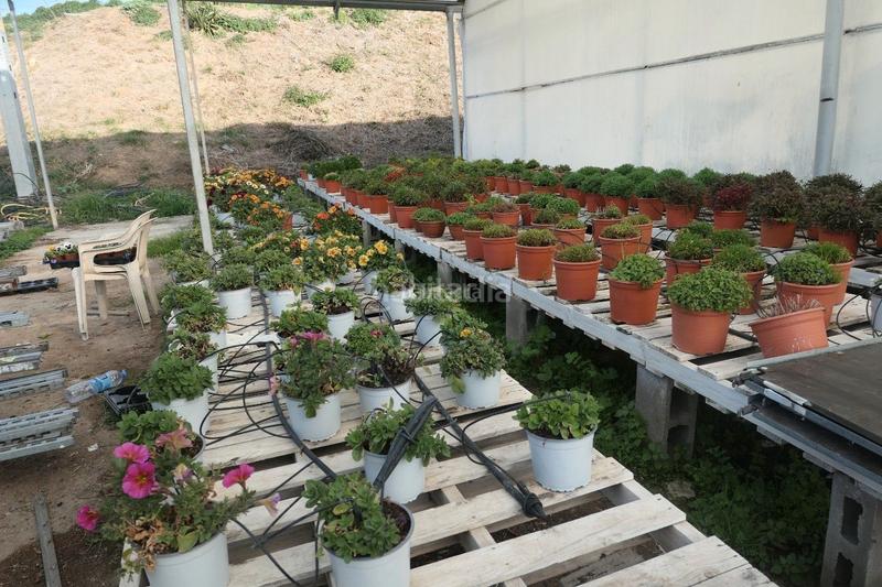 Foto 486f74e2-78ed-4a84-a0e4-e5c59155394e. Propriété dans Canet de Mar