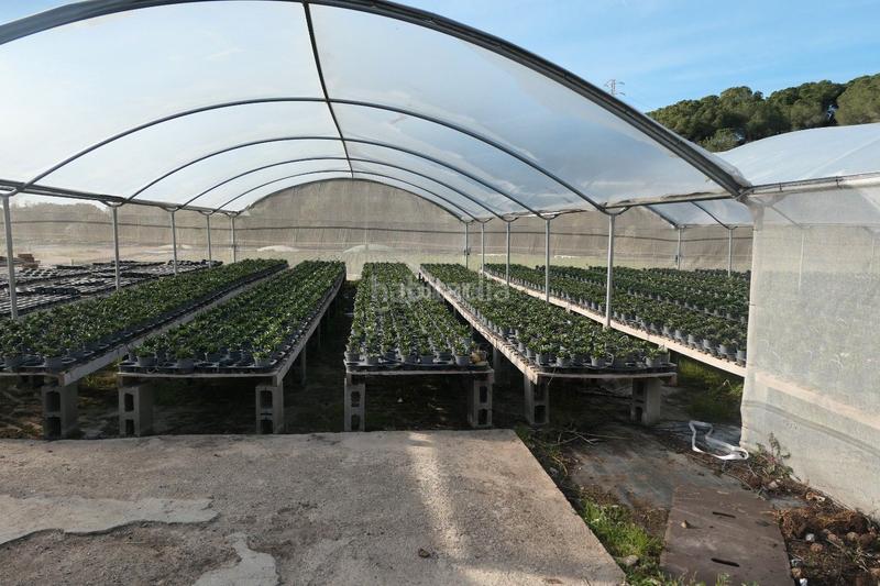 Foto 51fa25c8-2b28-49de-9575-63af1709faa9. Propriété dans Canet de Mar