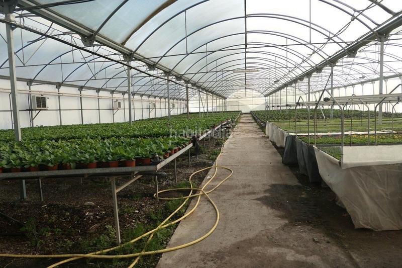 Foto 63ec3767-b183-429c-aa3f-e6ce03b8806d. Propriété dans Canet de Mar