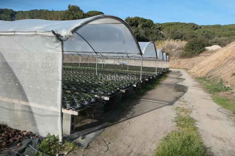 Foto 7f4f7810-2932-4dde-abb2-9ff56e81e7f5. Propriété dans Canet de Mar