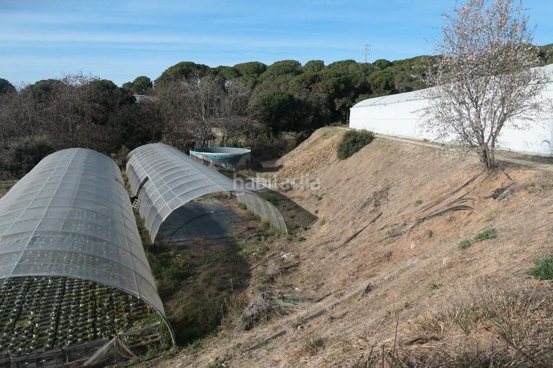 Foto 9085ebfe-9ad5-40ca-b0c0-180e4f4b52e0. Propriété dans Canet de Mar