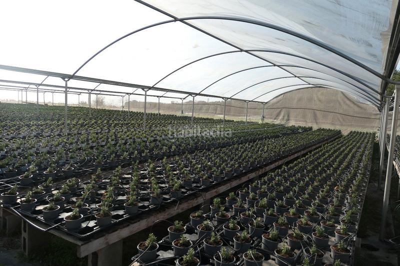 Foto cb563172-6cd9-4c52-a5bc-121ba93eb8a5. Propriété dans Canet de Mar