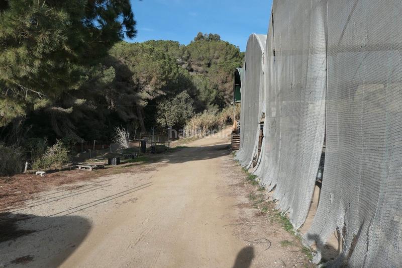 Foto e99ad330-25b7-406d-b2a3-899807ab53b9. Propriété dans Canet de Mar