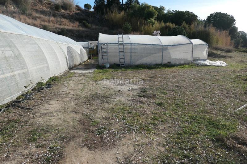 Foto 1d72a753-040c-450d-bfaf-6671355f95f3. Finca rústica a Canet de Mar