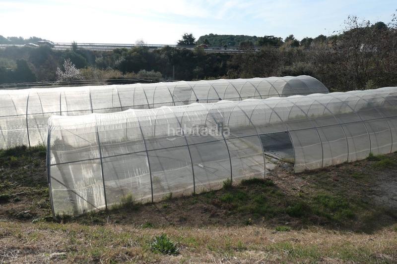 Foto 25deb6c6-6ed4-4633-bd01-8716e1bcf145. Finca rústica a Canet de Mar