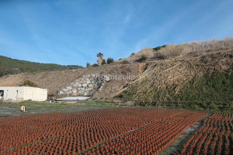 Foto 2dc81bc4-bf7a-4ca8-80b4-73135b2a33a6. Finca rústica a Canet de Mar