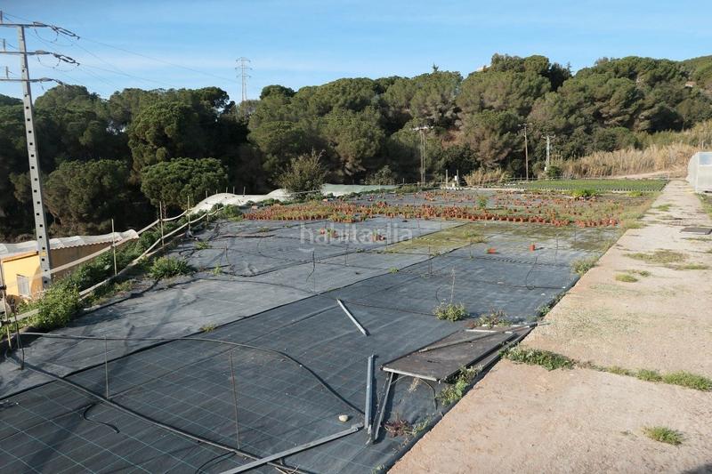 Foto 3e6d7a8f-7df3-443d-88aa-6340c4b790a0. Finca rústica a Canet de Mar