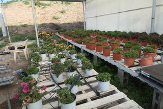 Finca rústica a Canet de Mar