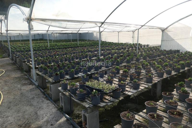 Foto 902ef0d3-941d-474b-86a9-8abf48fe5320. Finca rústica a Canet de Mar