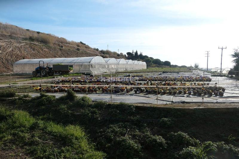 Foto 93c36bf1-7789-42fb-ad60-1b464bd7501b. Finca rústica a Canet de Mar