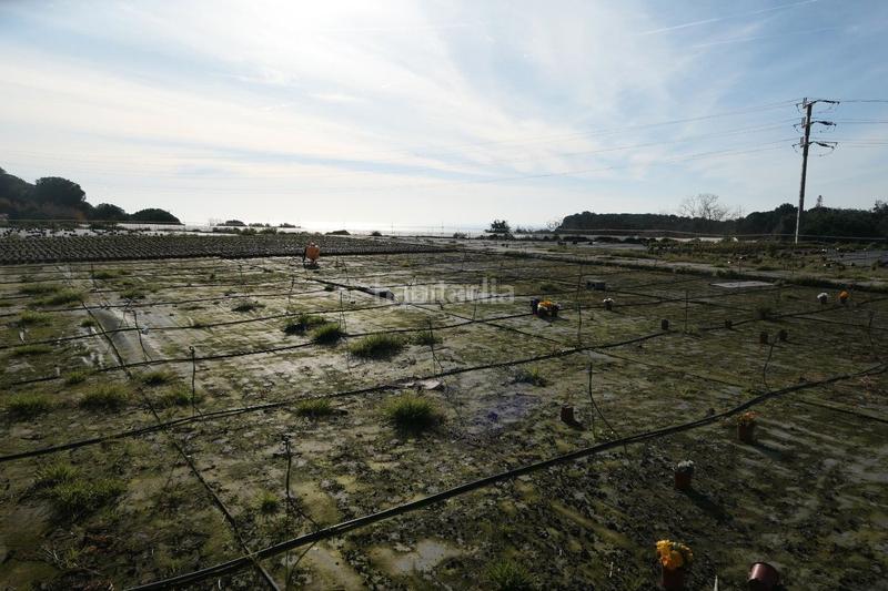 Foto 9aabc52e-3920-4ee1-a184-e08e2748b279. Finca rústica a Canet de Mar