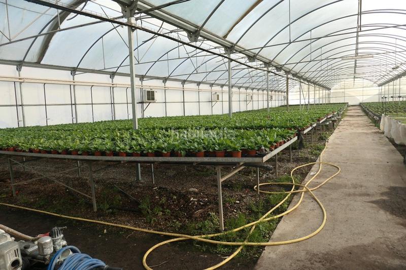 Foto c571cf68-2a25-4aef-9197-8f37081e4aae. Finca rústica a Canet de Mar