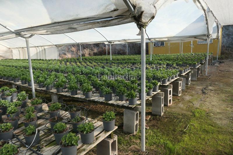 Foto e6e97d8e-ec17-4d25-9d9c-b5efe1f3fedb. Finca rústica a Canet de Mar