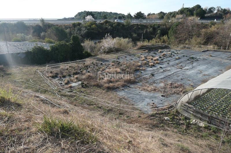 Foto f9bb3809-64eb-495b-b8bd-2c533ede8ce0. Finca rústica a Canet de Mar